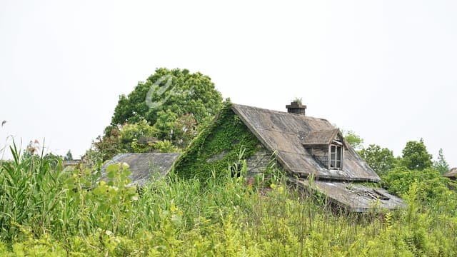 上海市美国梦幻乐园